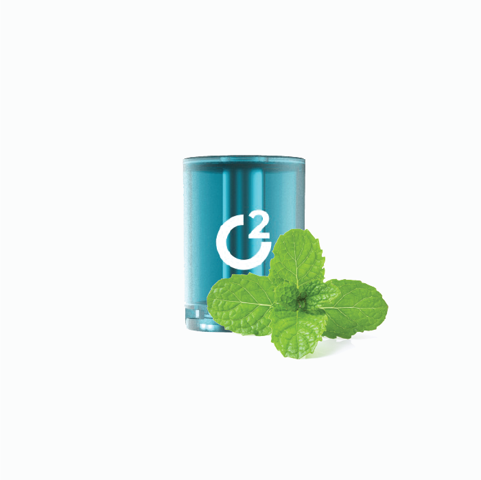 ВКУС ХЛАДНА МЕНТА Hookah
